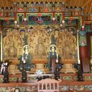 완도22호 이미지