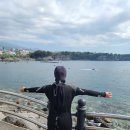 제담민박 | 제주 비오는날 추천:)제주 스킨스쿠버 체험 비용 리얼후기