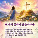 다시 못박지 않습니다. 이미지