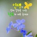 멋진하루 이미지