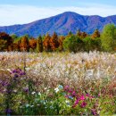 남종면행정복지센터 이미지