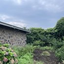 수산뜨락 이미지