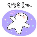 한라도니 이미지