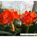 평팔농장 이미지