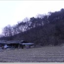 해망산농장 티스토리