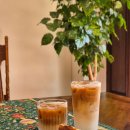 동백커피 | [용인카페] 동백 감성카페 "도어커피로스터스" 내돈내산 재재방문후기