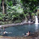 스프링데이 이미지