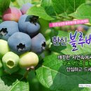 조한신농장 이미지