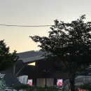 진짜맥주 | 2025 센텀맥주축제 후기 진짜 너무 신나!