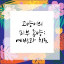 마사랑동물병원