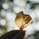 유니크환경 이미지