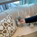 멜로디펍스 이미지