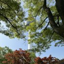 생애 첫 대장내시경(3일전 식사, 종로 하나로의료재단)