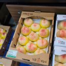 진양농협 하나로마트 이미지