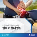 발목 아플때 병원, 발목인대파열 증상부터 수술까지