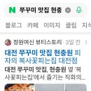 복사꽃정원 | 대전 쭈꾸미 맛집 현충원 피자의 복사꽃피는집 대전점
