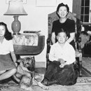 이씨양행 이미지