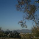 신안리석불입상 이미지