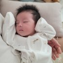 우리들의약국 | 머미쿨쿨로 30일 아기 통잠성공 모로반사 잠재우기 좁쌀이불 사용후기