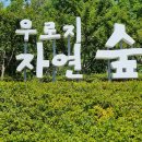 2026년6월 영천 마이크로기행(우로지둘레길 : 우로지자연숲~우로지생태공원~무궁화동산) 이미지