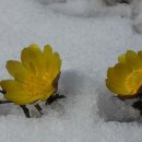 雨水(우수)의 뜻과 유래 이미지