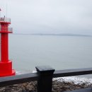 와동배드민턴 전용구장 이미지