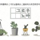 그로우노아