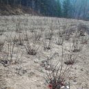 미소농장 이미지