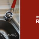더 스완 컴퍼니