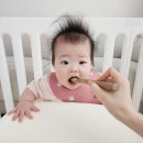 후기 이유식 언제부터? 9개월 아기 3끼 스케줄(이유식, 수유양), 푸드케어 클레 시판 추천