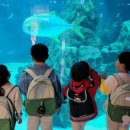 영덕야성초등학교병설유치원 이미지