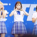 사나 - 의성군 | 사나
