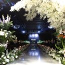 에스로드 이미지