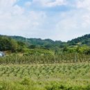 산수농장 이미지