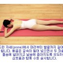 바른자세 필라테스 이미지