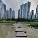 하천(안일교) 이미지