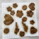 월광음악학원 이미지