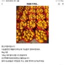 물건은 꽁짜 택배비.6000원 갈취하는 사기꾼 출몰 예정 조심들 하세요 이미지