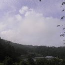 신비한 약초세상 이미지