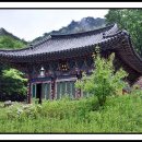 정평사 Daum카페