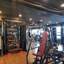 핫플레이스킹덤 이미지