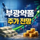 아주약품(주) | 부광약품 주가 전망