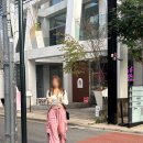 도쿄 자유여행 3일차 멘치라시 / 모헤지 시부야 / 휴먼메이드 / 키스(KITH) / 브랜디멜빌