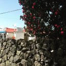 볼몽길하우스 이미지