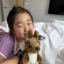 오페라보러화요 <헨젤과 그레텔> | PARK 리버풀, CHESSY PIZZA, 트레인타고 시드니 오페라하우스 바, 오페라하우스 헨젤앤그레텔 오페라 후기