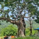 가교2리경로당 이미지