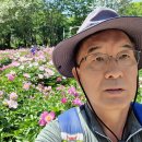 서울대공원 캠핑장 이미지