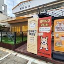 연희도그 이미지