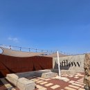 오플로우 이미지