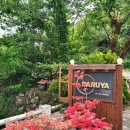 약식동원 다루야 이미지